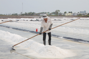 Vietnam’s First-Ever Salt-Making Festival to Be Held in Bac Lieu